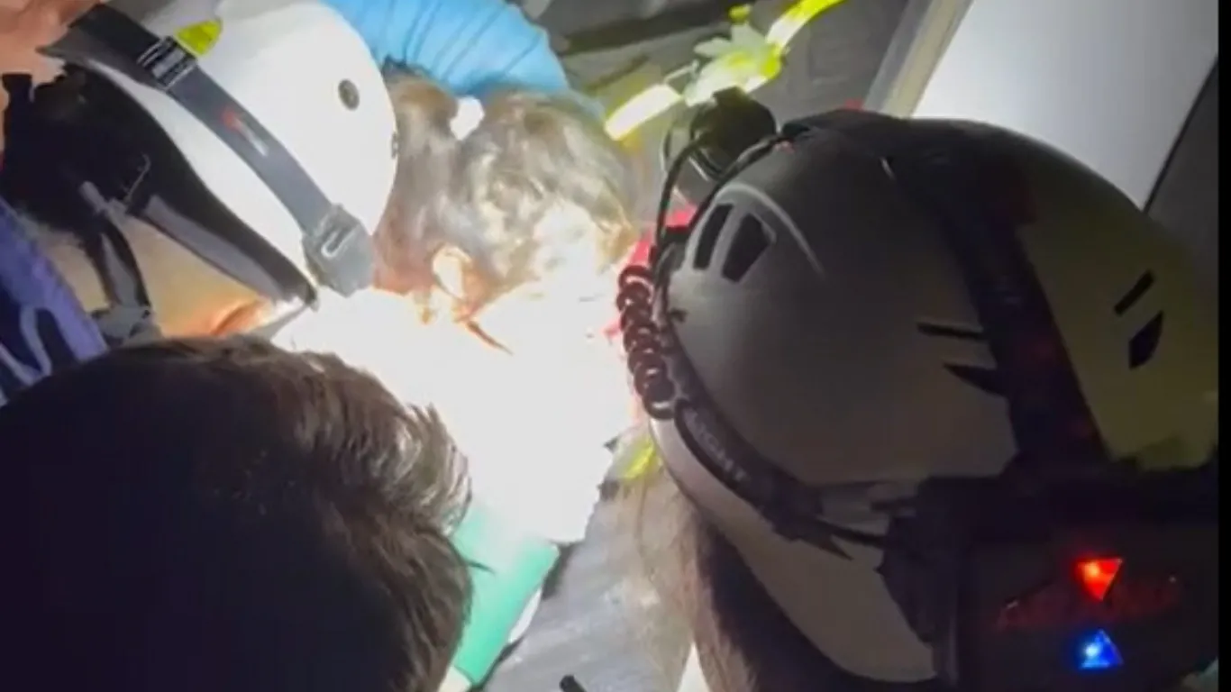 Bolu'da piknikte kaybolan engelli çocuk, 4 saat sonra Düzce'de bulundu