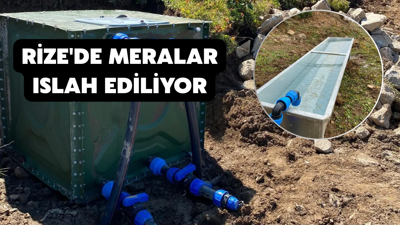 Rize'de meralar ıslah ediliyor