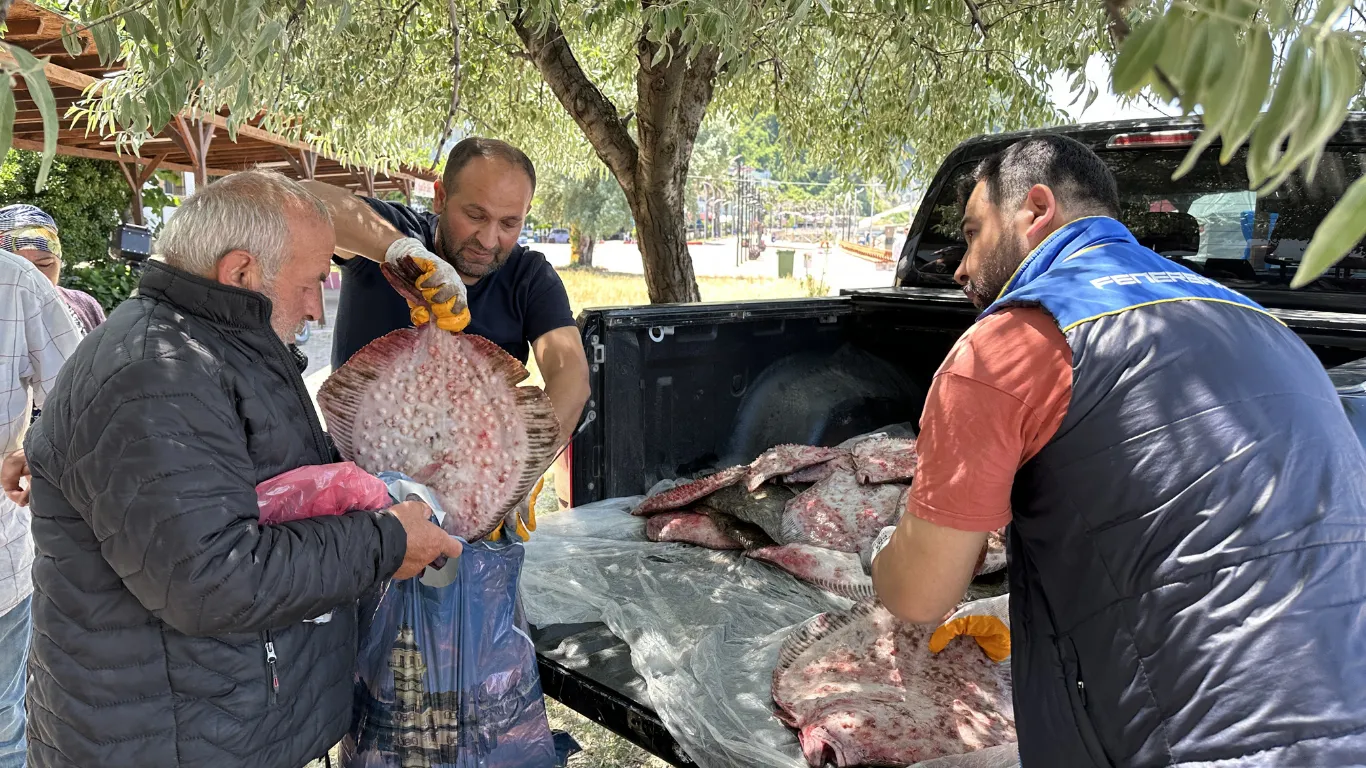 Sinop'ta kaçak avlanan 1611 kalkan balığı ele geçirildi
