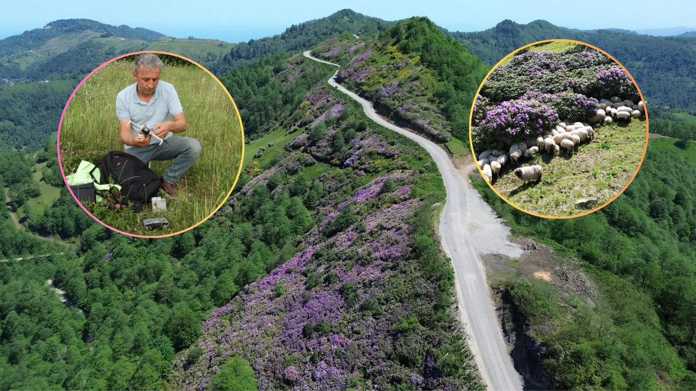 Öğretmenin dron merakı, yatağa bağımlı meslektaşının gözü oldu