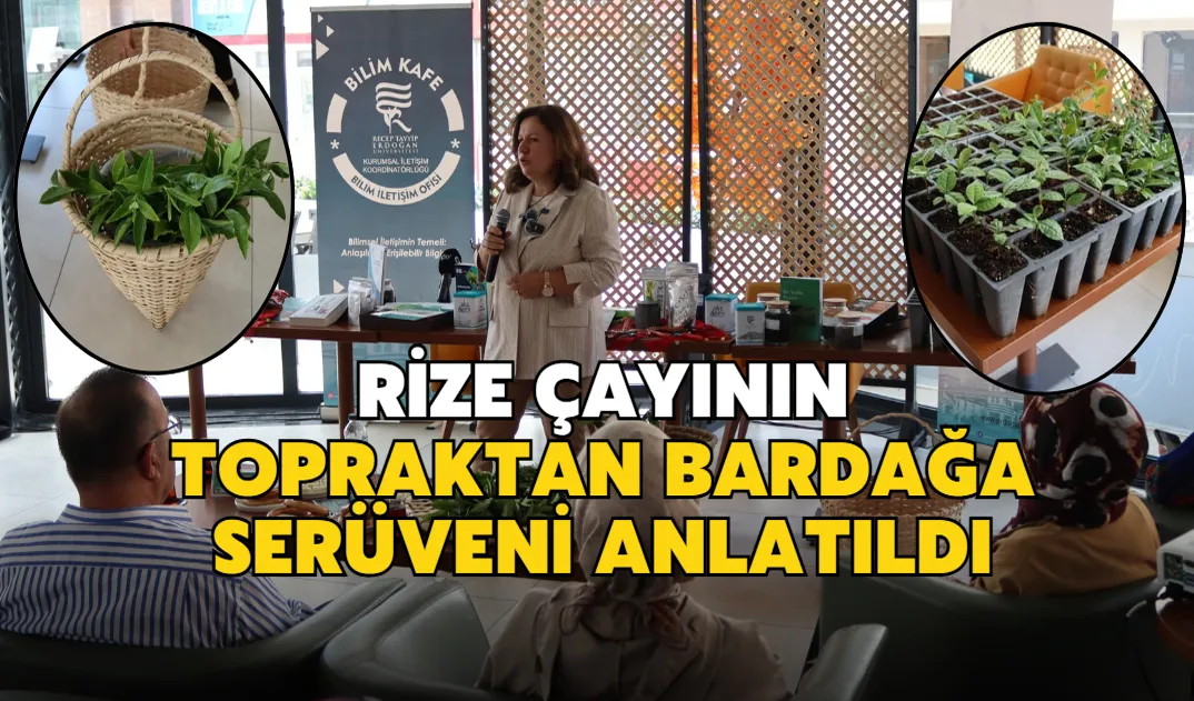 Rize çayının, topraktan bardağa serüveni anlatıldı