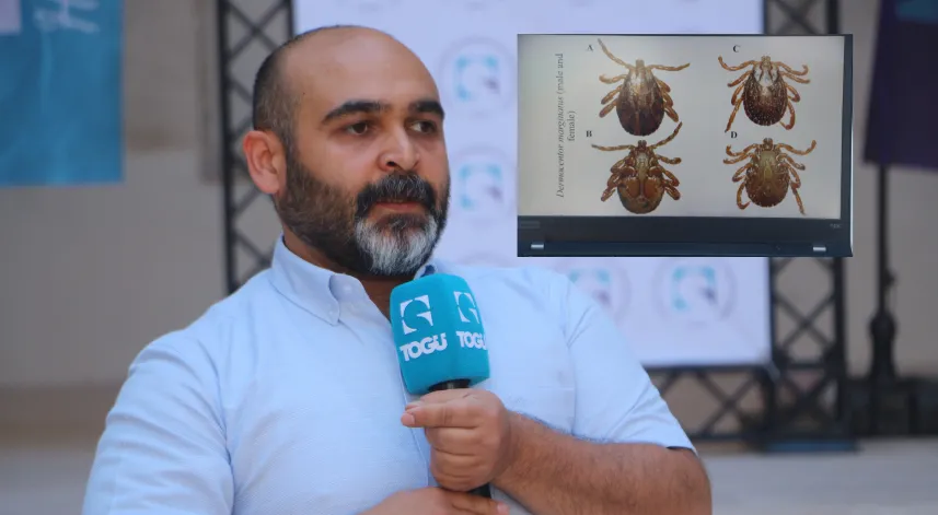 Profesör Keskin: Keneye çıplak elle dokunmak riskli