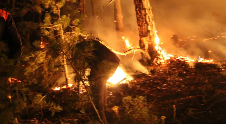 Bolu'da orman yangın 7 saat sonra kontrol altında