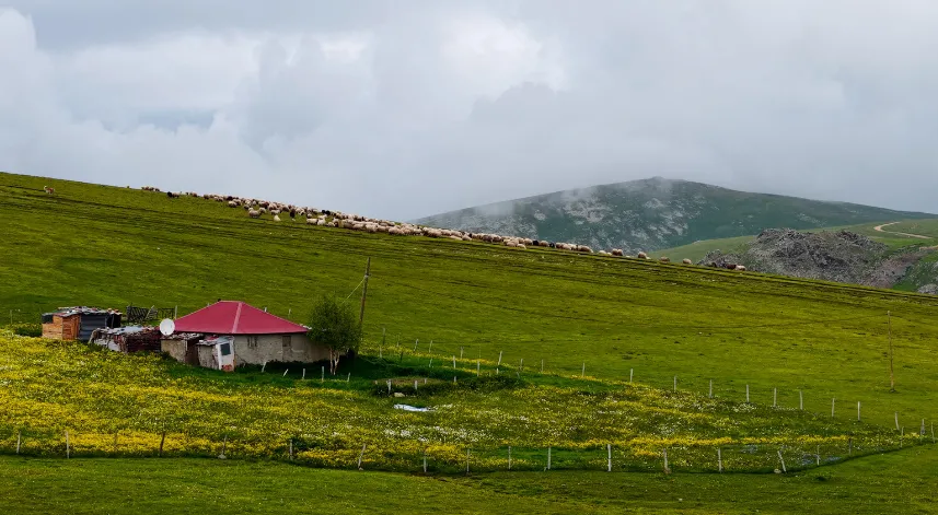 Gümüşhane yaylalarında görsel şölen