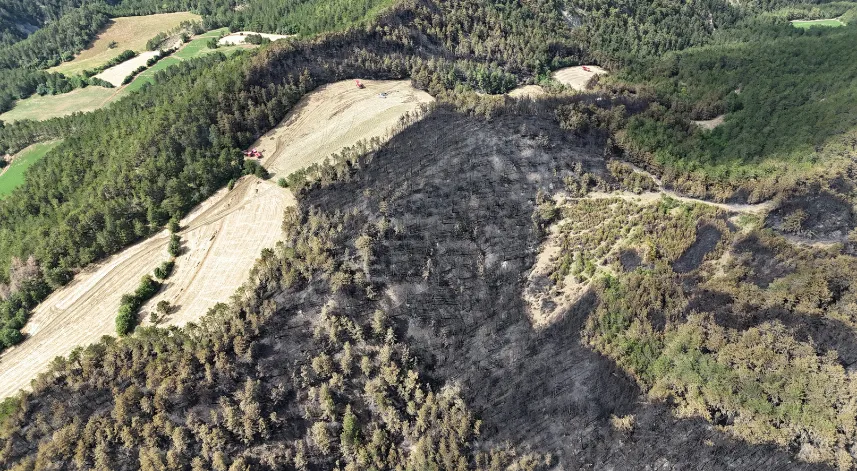 Bolu’daki orman yangınında 25 hektarlık alan küle döndü