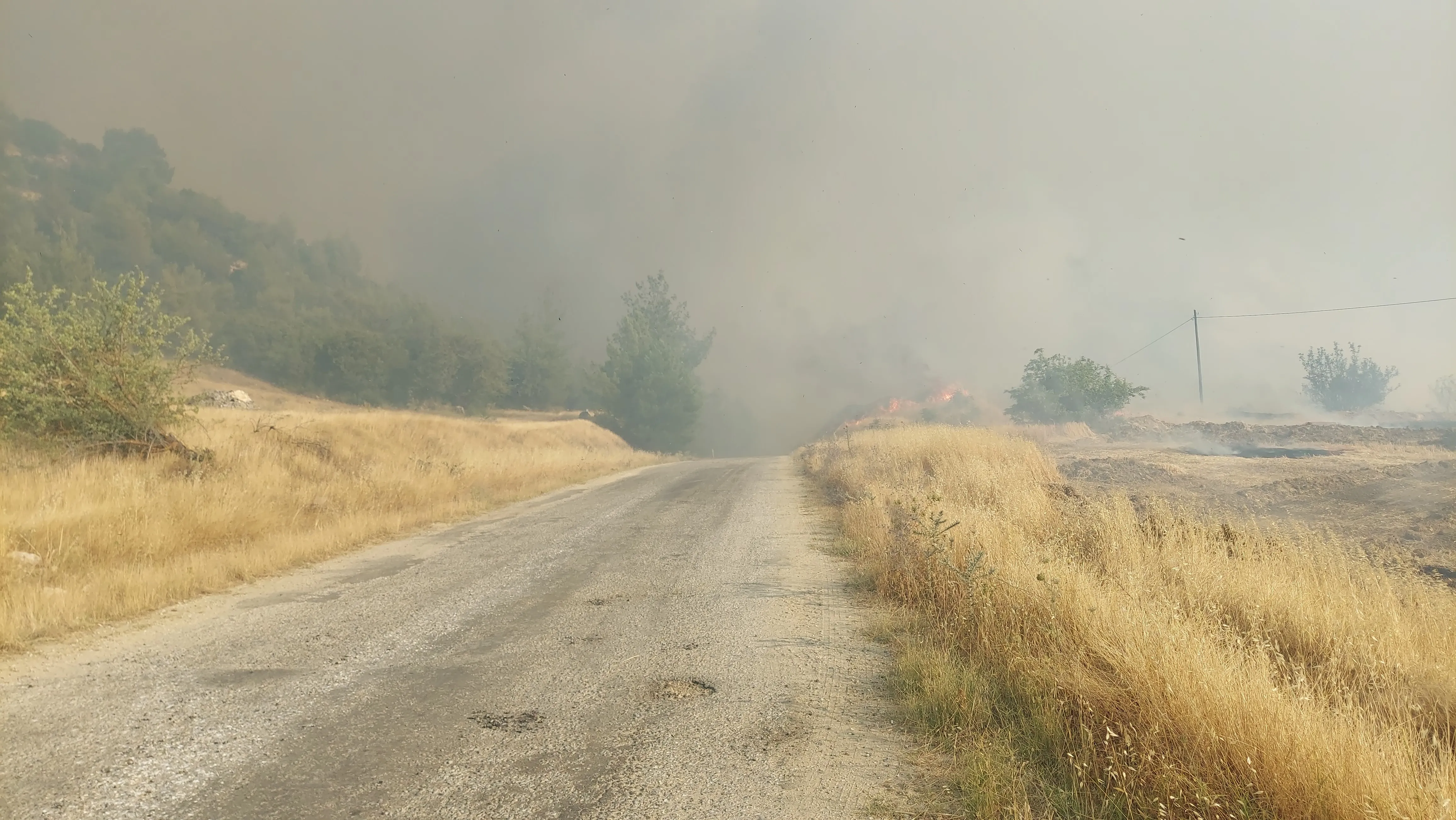 Kula’daki orman yangını için ekipler ve vatandaşlar seferber oldu