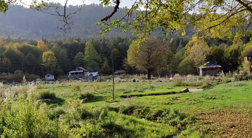 Zonguldak ormanlarda ateş yakılması yasaklandı