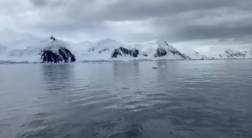 Prof. Dr. Başar: Hızla eriyen buzullar dünyayı ısıtıyor
