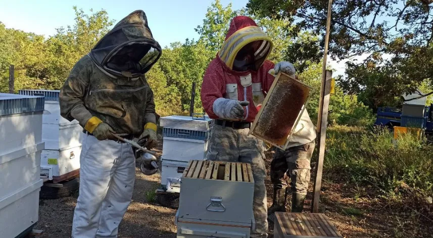 Köyünde ürettiği balı Avrupa’ya pazarlamayı amaçlıyor