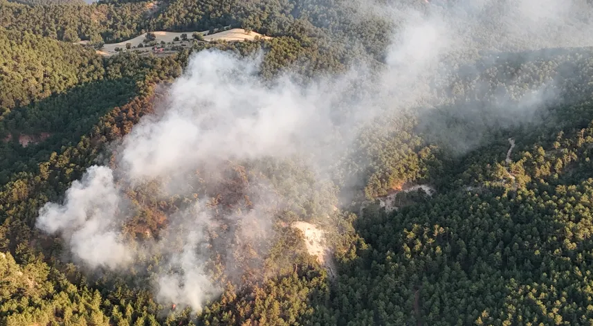 Bolu'da orman yangını