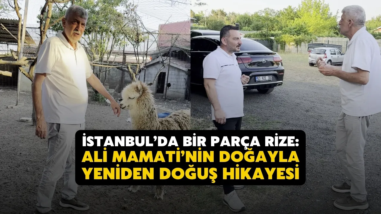 İstanbul’da Bir Parça Rize: Ali Mamati’nin Doğayla Yeniden Doğuş Hikayesi