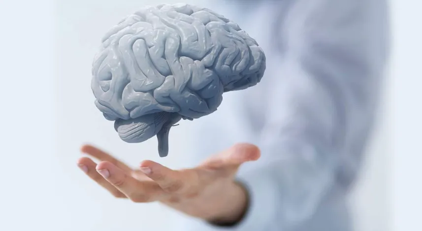 Beyin sağlığı yaşam tarzıyla korunuyor
