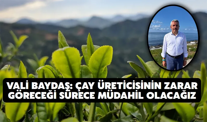 Vali Baydaş: Çay üreticisinin zarar göreceği sürece müdahil olacağız