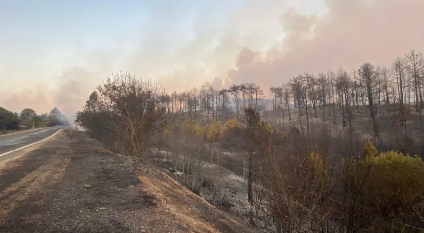 Karabük'te orman yangınına müdahale sürüyor; 10 köy boşaltıldı, 55 hektar alan zarar gördü 