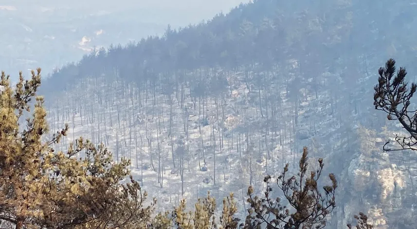Karabük'te orman yangınlarına müdahale sürüyor