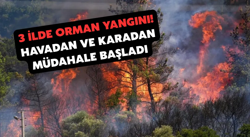 3 İlde Orman Yangını! Havadan Ve Karadan Müdahale Başladı