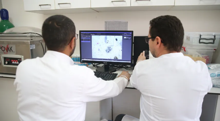 Marmara Denizi'nde mikroplastik ve ağır metallerin etkisi araştırılıyor