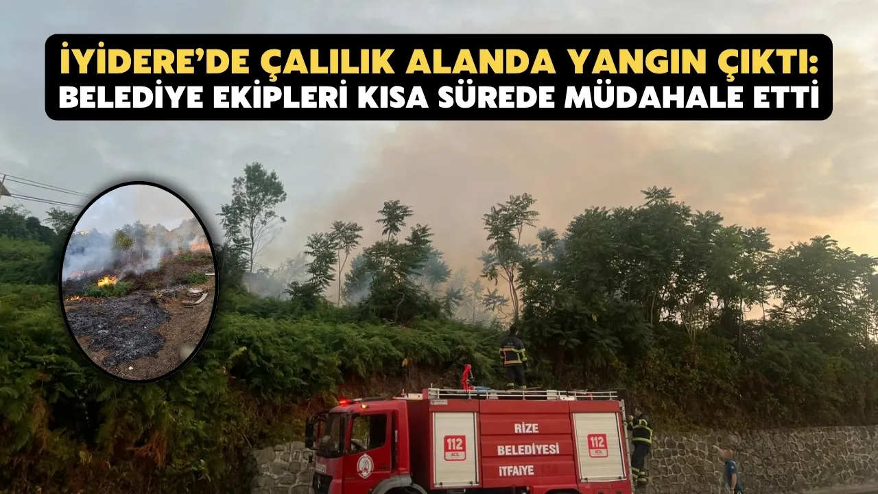 İyidere’de Çalılık Alanda Yangın: Belediye Ekipleri Kısa Sürede Müdahale Etti