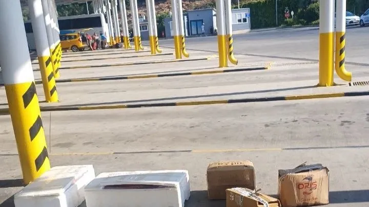 Muğla otobüs terminalinde sahipsiz midyelere el konuldu