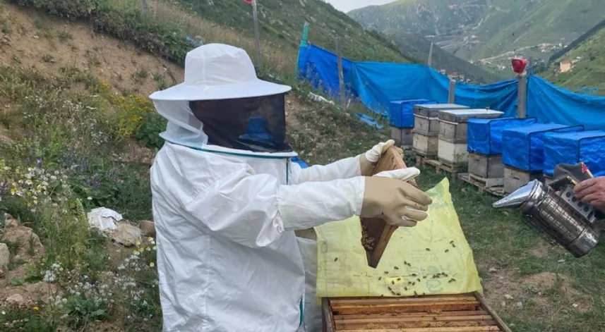 Anzer Balı’nda referans sağımı