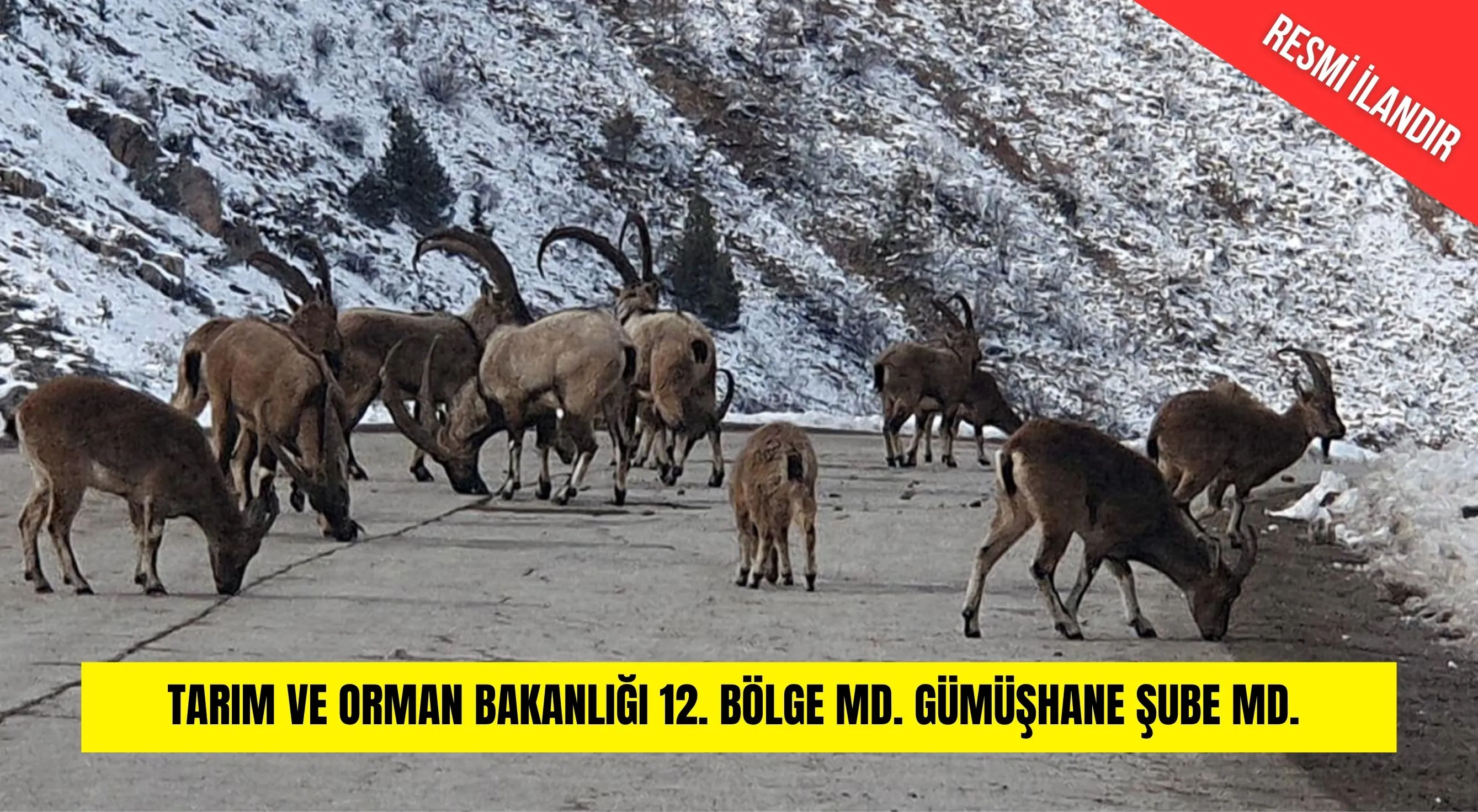 T.C. DOĞA KORUMA VE MİLLİ PARKLAR GENEL MÜDÜRLÜĞÜ