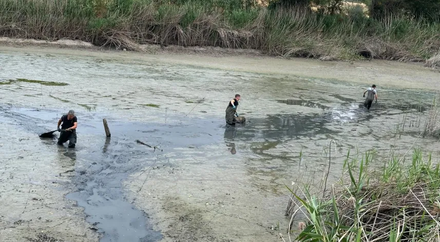 Bolu'da, kuruyan gölette mahsur kalan balıklar kurtarıldı