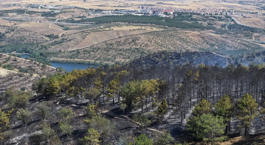 Prof. Dr. Kavgacı: Yangın söndükten sonra kök yanması devam edebilir