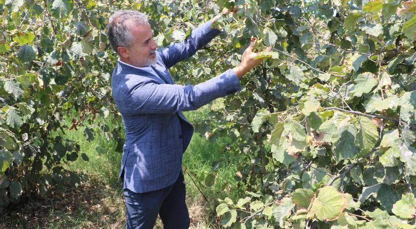 YRP’li Kılıç: Fındığın kilosu 6 dolar ya da 250 TL üzerinde olmalıdır