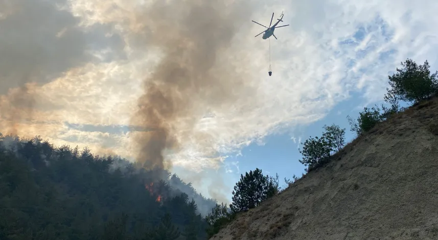 Karabük’te orman yangını