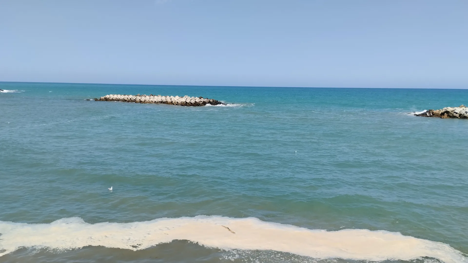 Akçakoca sahilinde denizde kirlilik