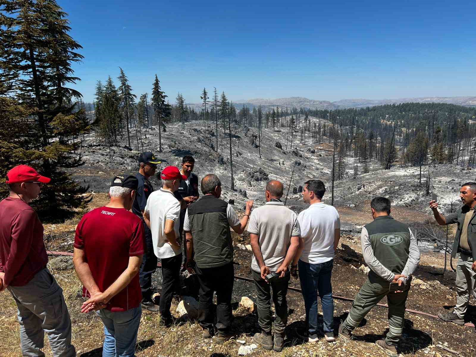 Vali Mehmet Fatih Çiçekli: 