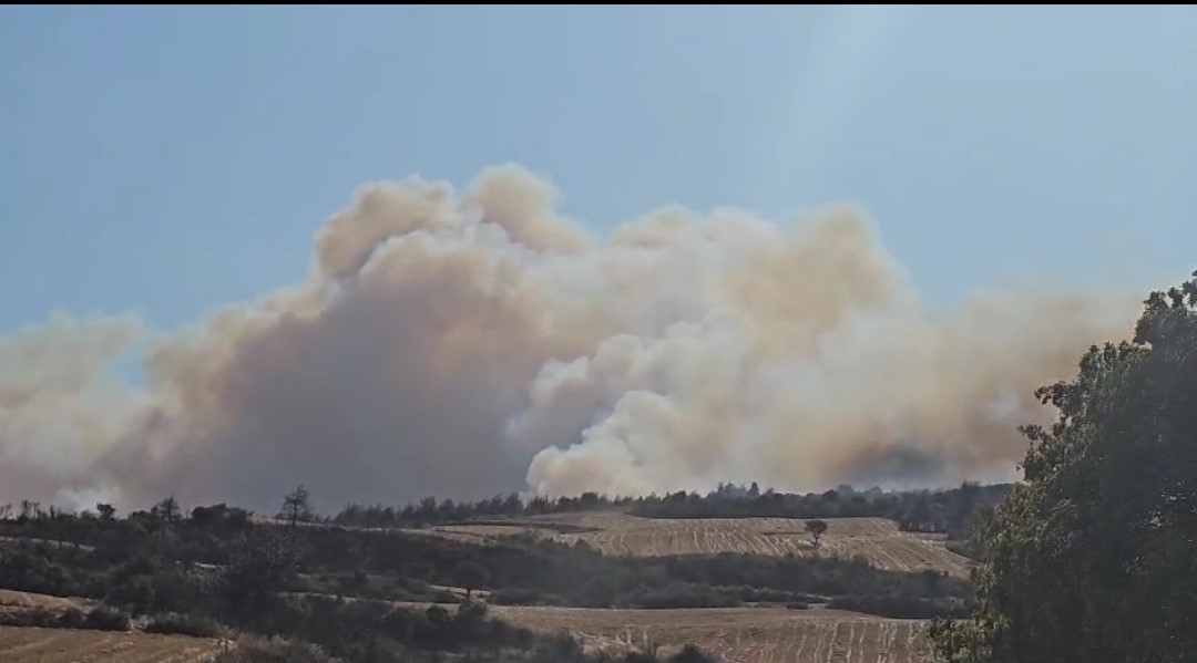 Gelibolu’da orman yangınına havadan ve karadan müdahale ediliyor