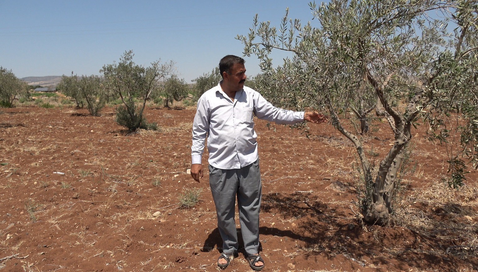 Kilis'te tarım arazileri susuz kaldı