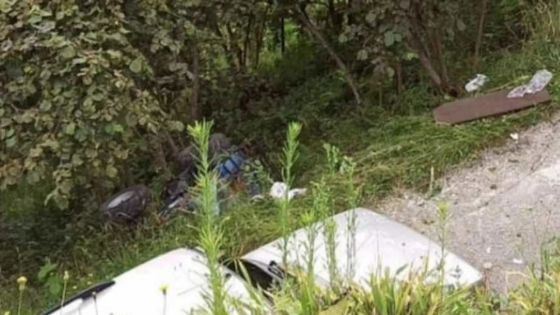 Fındık toplarken uçurumdan yuvarlandılar: Annesi öldü, oğlu yaralandı