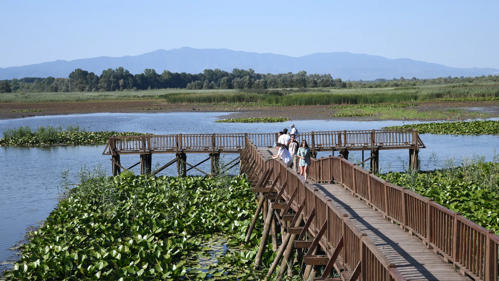 Efteni Gölü Kuş Cenneti hafta sonu doğa tutkunlarını ağırladı