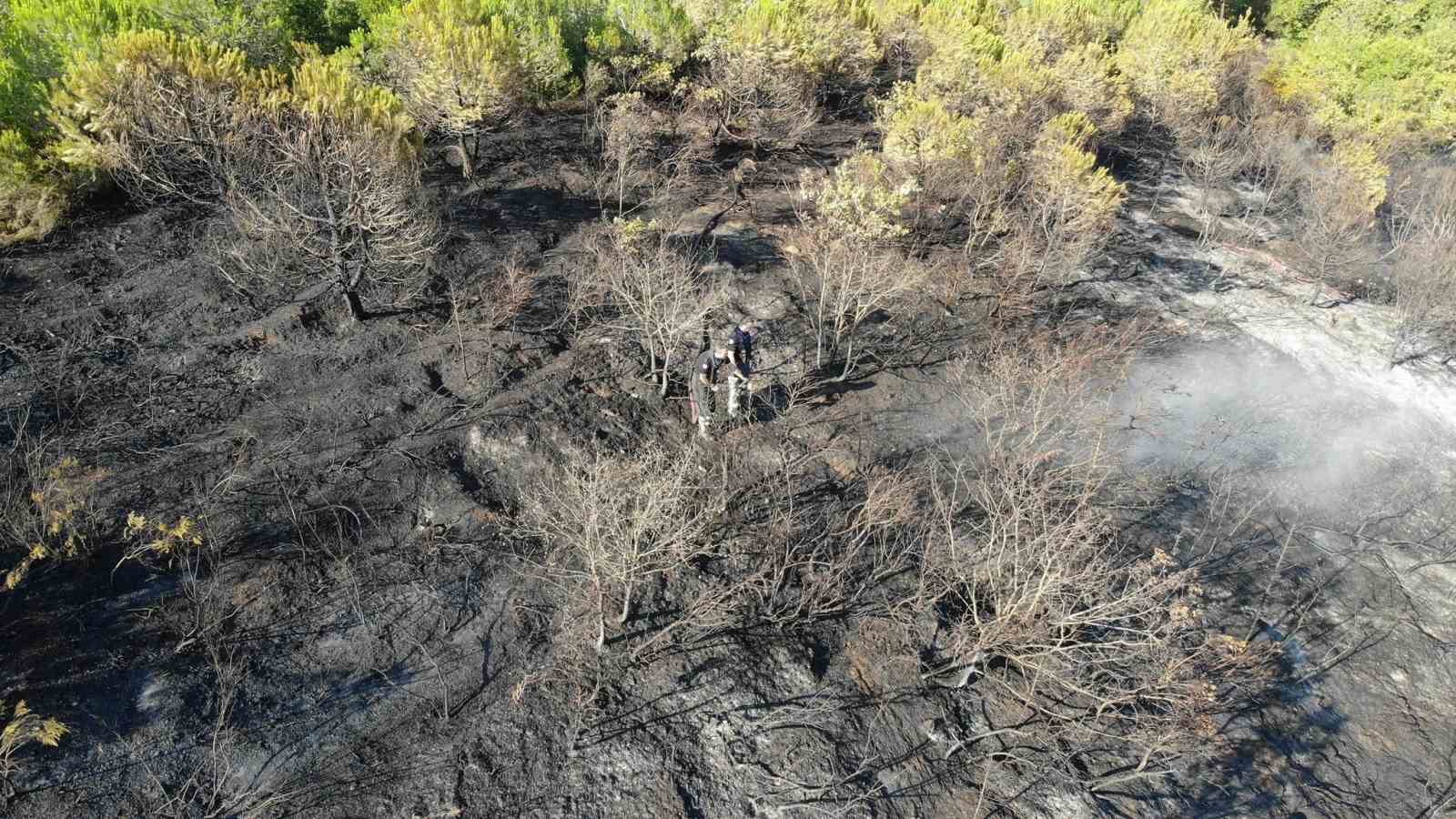 Kocaeli’deki orman yangını 1 saatlik müdahaleyle kontrol altına alındı