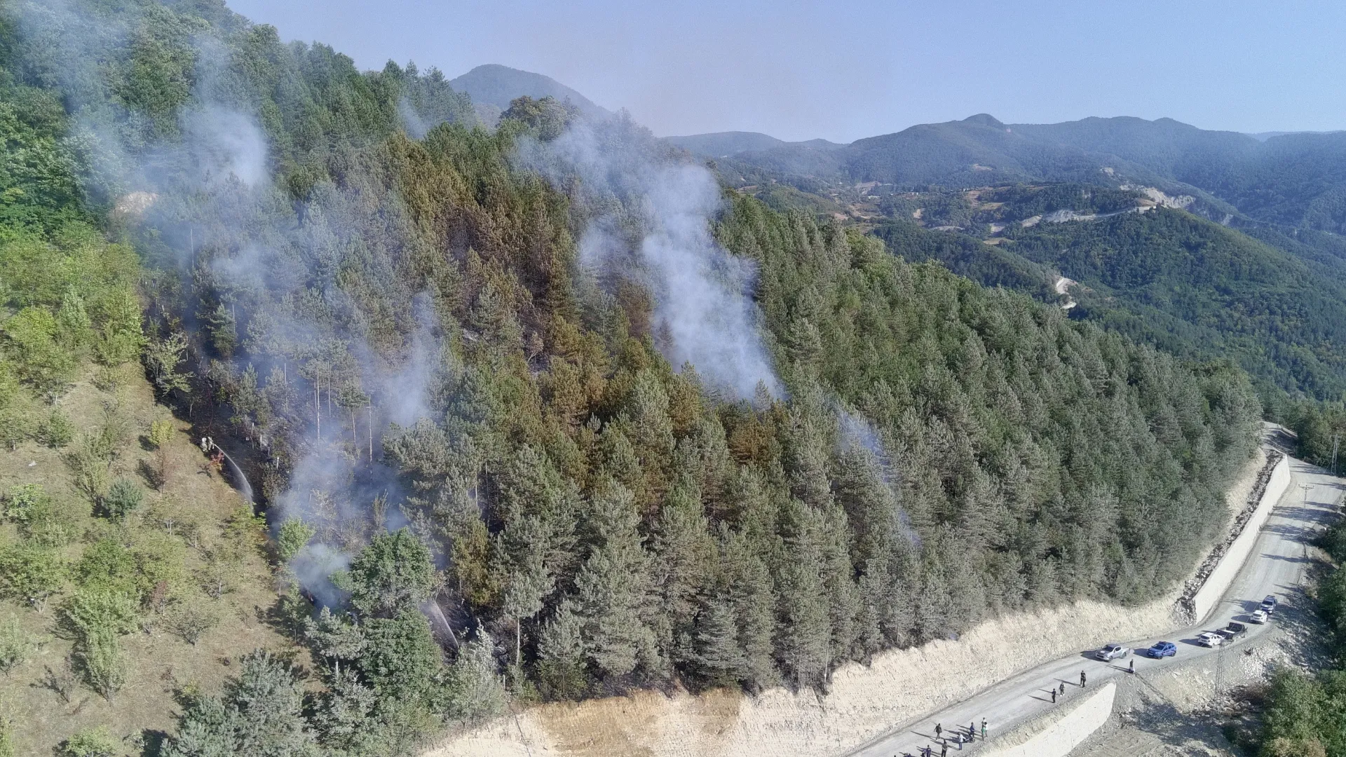 Sinop'ta çıkan orman yangınına müdahale ediliyor