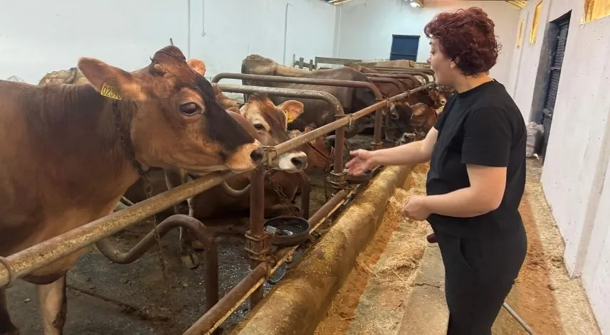 Giresun'da hastalıktan ari üç hayvancılık tesisine destek verildi
