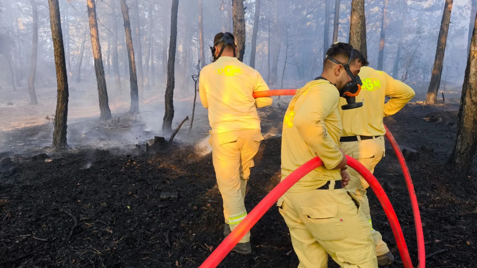 Bolu'da 8,5 saatte kontrol altına alınan orman yangınında soğutma çalışmaları sürüyor