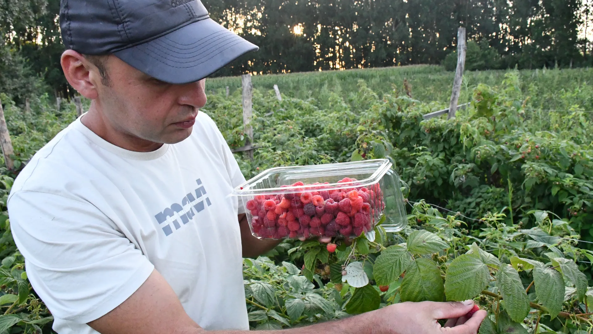 Atıl araziyi meyve bahçesine dönüştürerek üretici oldu