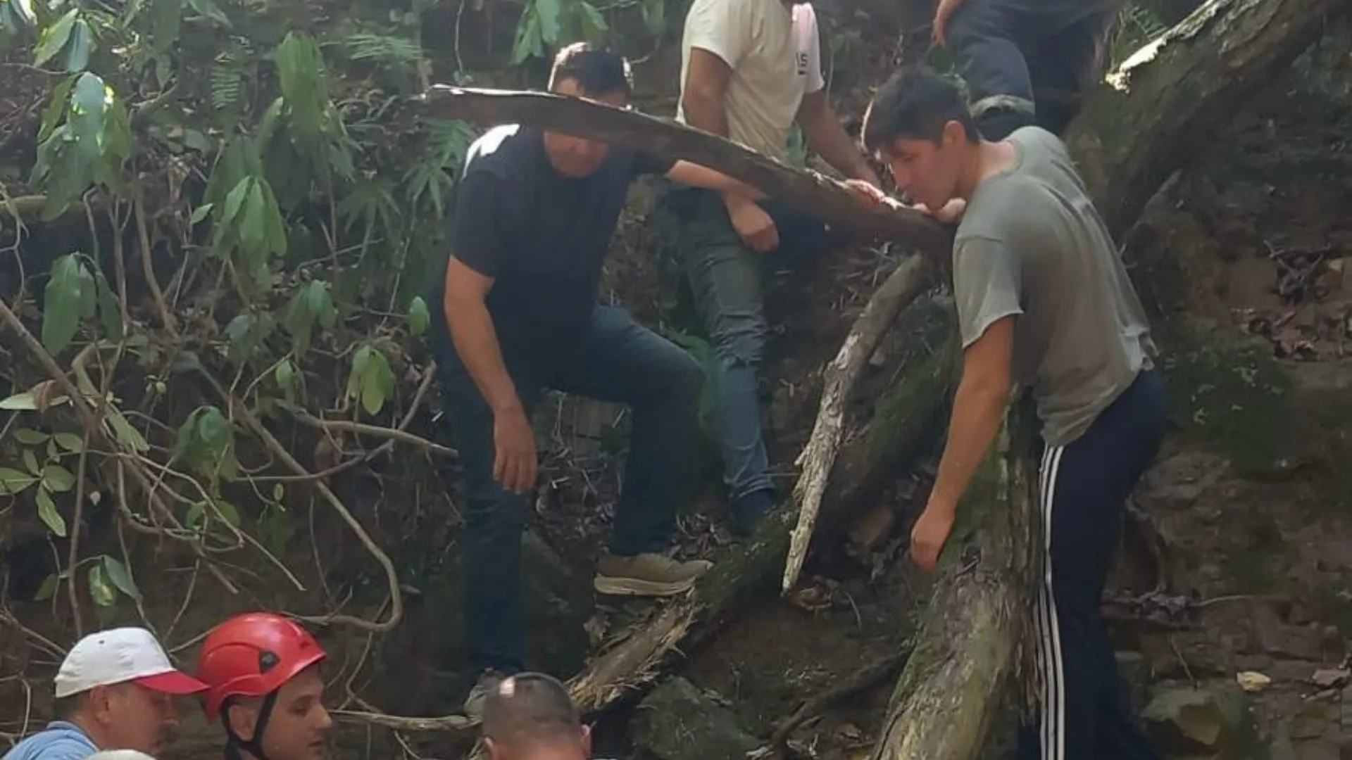 Fındık toplarken uçurumdan yuvarlanıp öldü