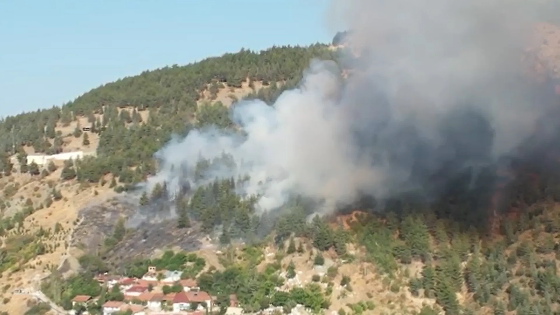 Tokat’ta orman yangını