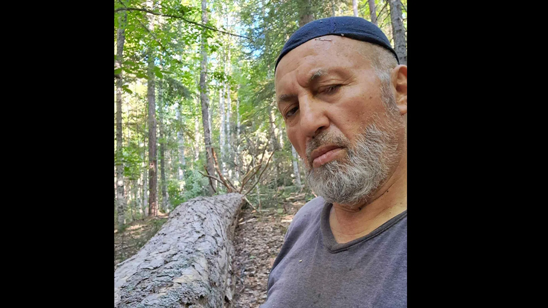 Ayağına tomruk düştü, ambulansta kalp krizi geçirip öldü