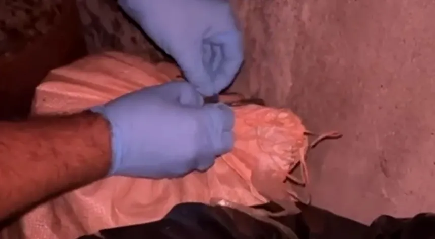 Ahırdaki arı kovanlarının arkasına gizlenmiş uyuşturucu ele geçirildi