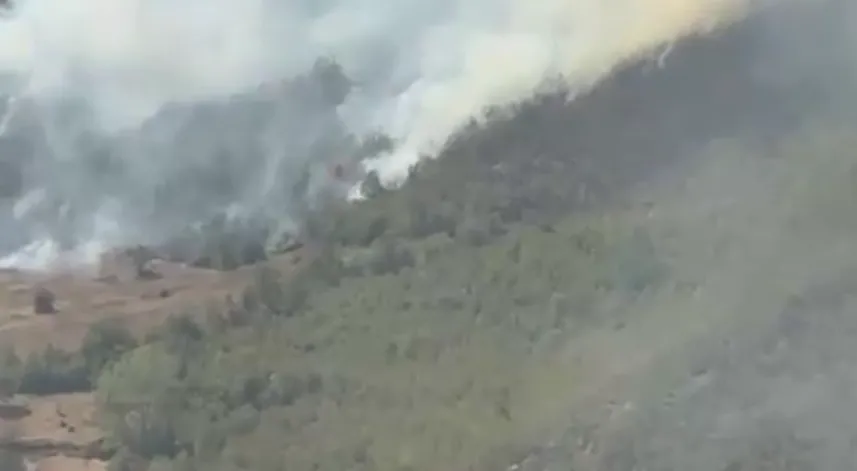 Küre Dağları Milli Parkı'nda orman yangını