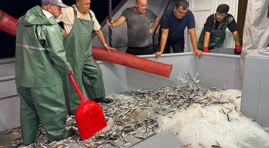 Ordu’da ‘vira bismillah’ diyen balıkçılar, sezonun ilk avını gerçekleştirdi