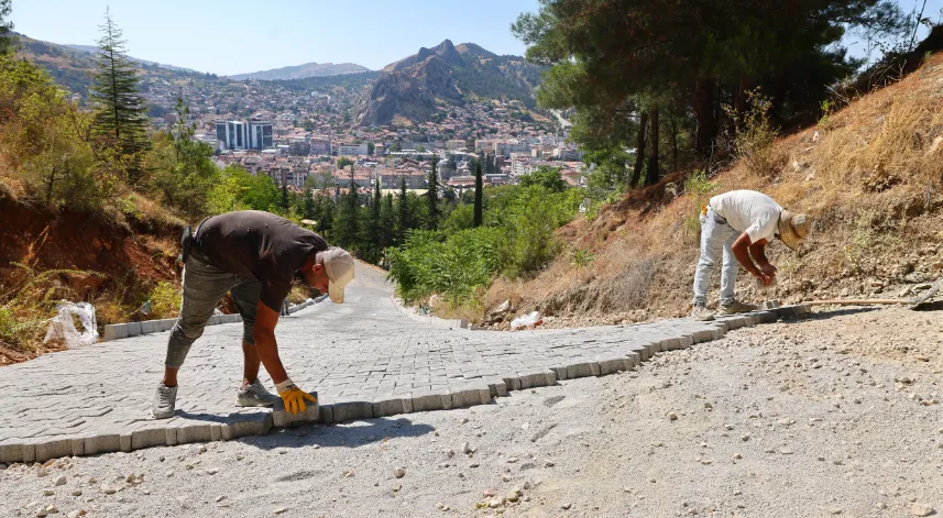 Tokat Belediyesi Ali Mezarlığı'nda düzenleme çalışmaları yaptı