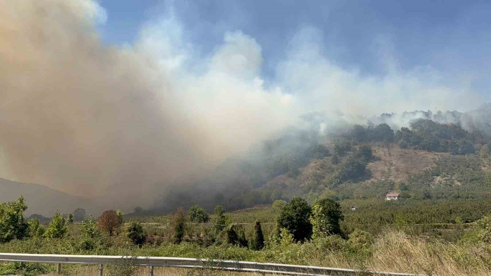 Düzce’de orman yangını 5. saatinde