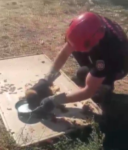 Kanala düşen yavru köpek kurtarıldı