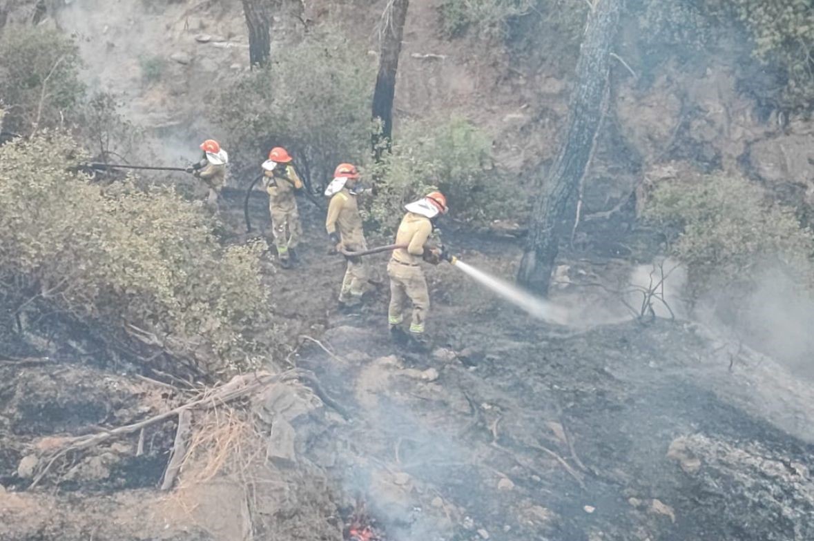 Adana’daki orman yangını kontrol altına alındı